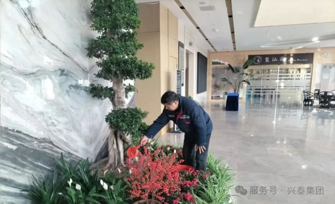 大干50天，决胜年度总目标｜兴泰现代服务：筑巢引凤聚活力，专业赋能助冲刺